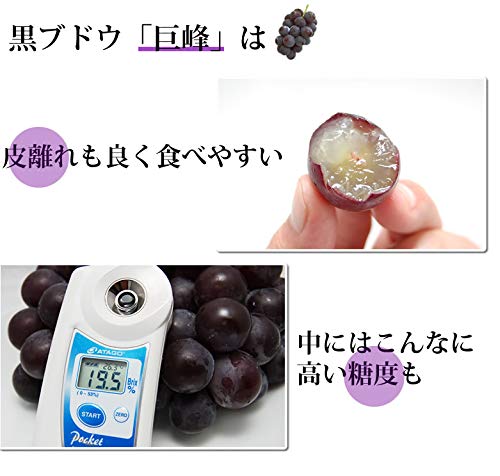 Amazon.co.jp: ぶどう 巨峰 約1.2kg（約300g×4パック） 福岡 熊本県産